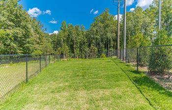 Dominium-Grayson Ridge-Dog Run